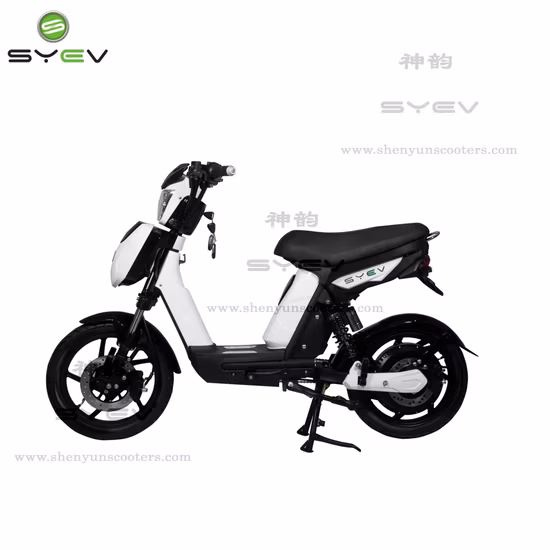 Batería de litio de scooter eléctrico potente y de venta caliente/Motor de CC sin escobillas de ácido de plomo 800W 40 km/H